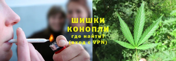apvp Богданович