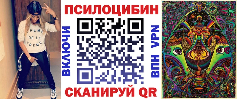 закладки  Калуга  Псилоцибиновые грибы мицелий 